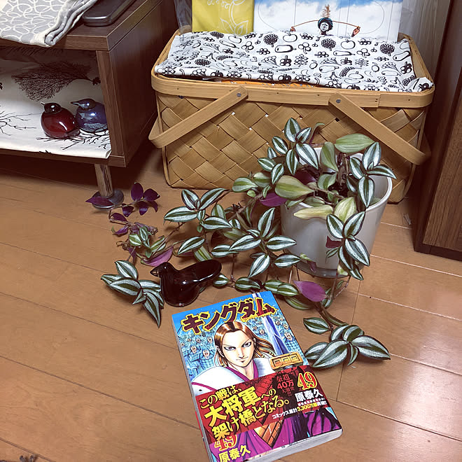 juboccoさんの部屋