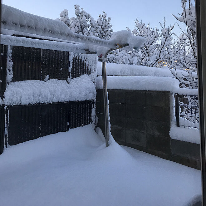 リビング/雪が積もってる！のインテリア実例 - 2018-01-23 07:23:29