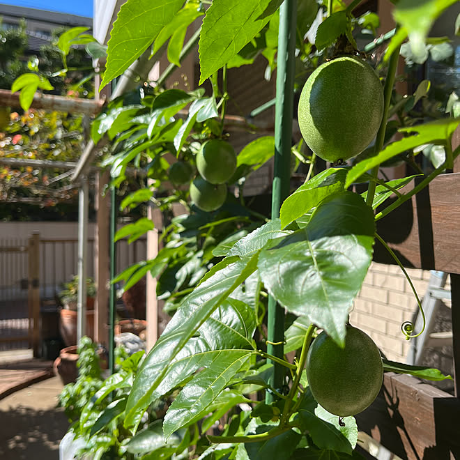 botanさんの部屋