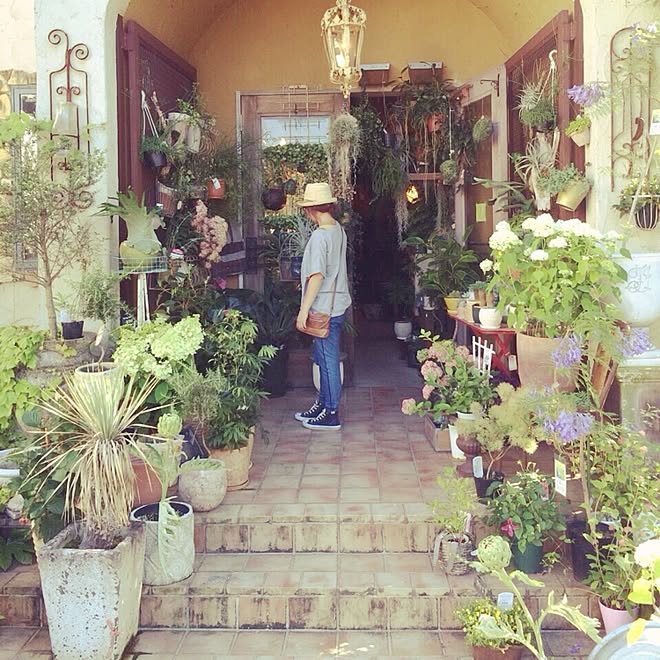 カトリエムメゾン 素敵な花屋さん うちではありませんが のインテリア実例 15 06 06 23 27 47 Roomclip ルームクリップ カトリエムメゾン 素敵な花屋さん うちではありませんが のインテリア実例 15 06 06 23 27 47 Roomclip ルームクリップ