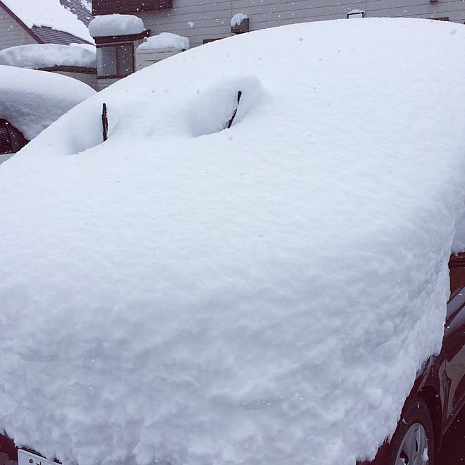 インテリア関係なくてすみません/雪国/気力と体力が削られる/愛車のヴィッツ君/お久しぶりです( ‾ʖ̫‾)のインテリア実例 - 2014-12-07 20:48:46