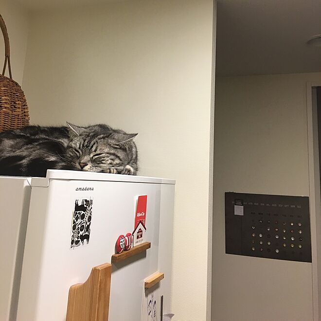 mikomaruさんの部屋