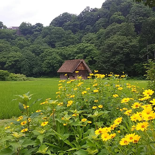 hukuさんの部屋