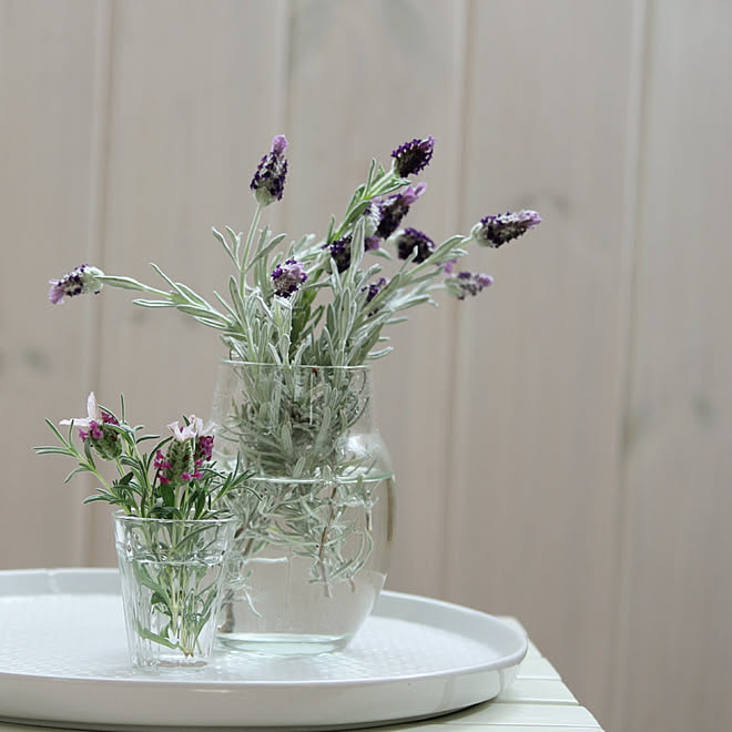 棚 花のある暮らし ラベンダー フレンチラベンダー 板壁 などのインテリア実例 18 05 02 07 57 49 Roomclip ルームクリップ 棚 花のある暮らし ラベンダー フレンチラベンダー 板壁 などのインテリア実例 18 05 02 07 57 49 Roomclip ルームクリップ