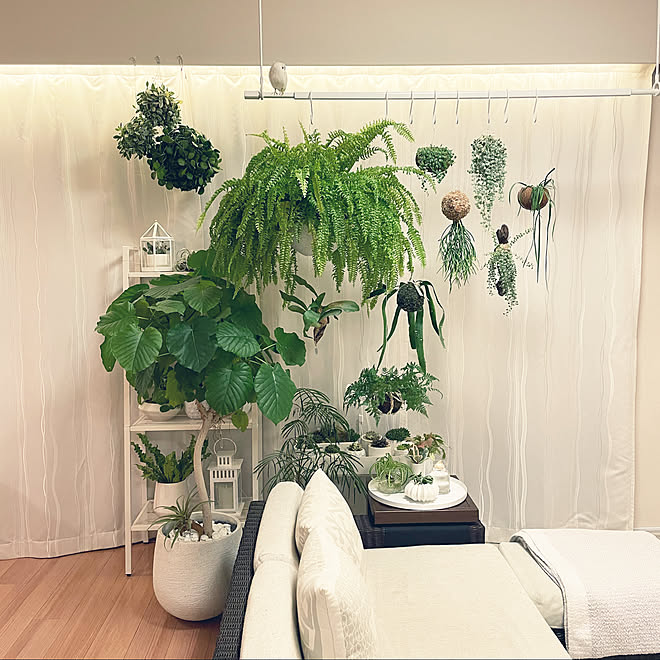 観葉植物 グリーンインテリア ベランダガーデニング 多肉植物寄せ植え Ikea ガーデニング などのインテリア実例 22 11 05 17 51 50 Roomclip ルームクリップ