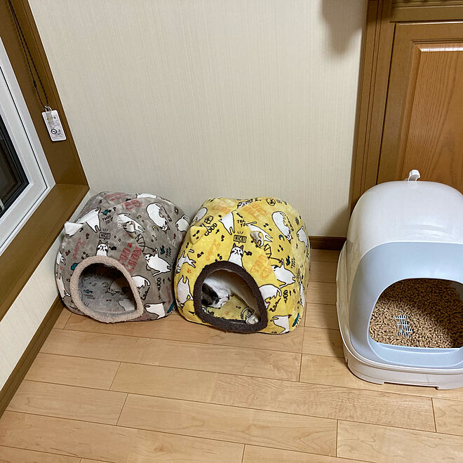 猫ちゃん想い/ニャンとも/ねこと暮らす。/ねこのいる日常/猫トイレ...などのインテリア実例 - 2021-06-23 19:42:56