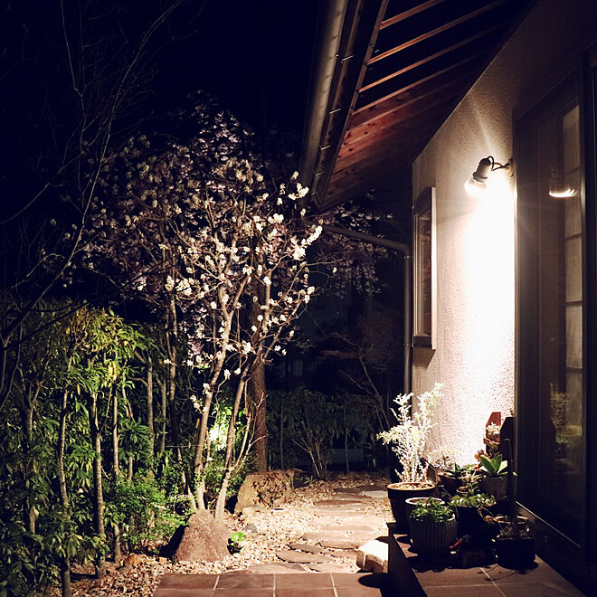 照明/ガーデンライト/ソーラーライト/満開/春の庭...などのインテリア実例 - 2024-04-12 21:54:02
