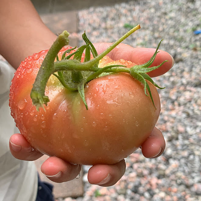 sakiさんの部屋