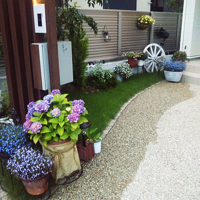 玄関 入り口 アズーロコンパクト ガーデニングの写真ばっかだな ガーデニング 花壇 などのインテリア実例 19 06 21 19 09 39 Roomclip ルームクリップ