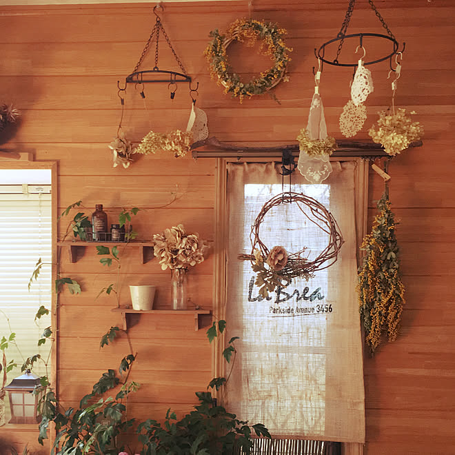 部屋全体/100均雑貨/みどりのある暮らし/観葉植物/花が好き...などのインテリア実例 - 2018-05-06 19:48:23