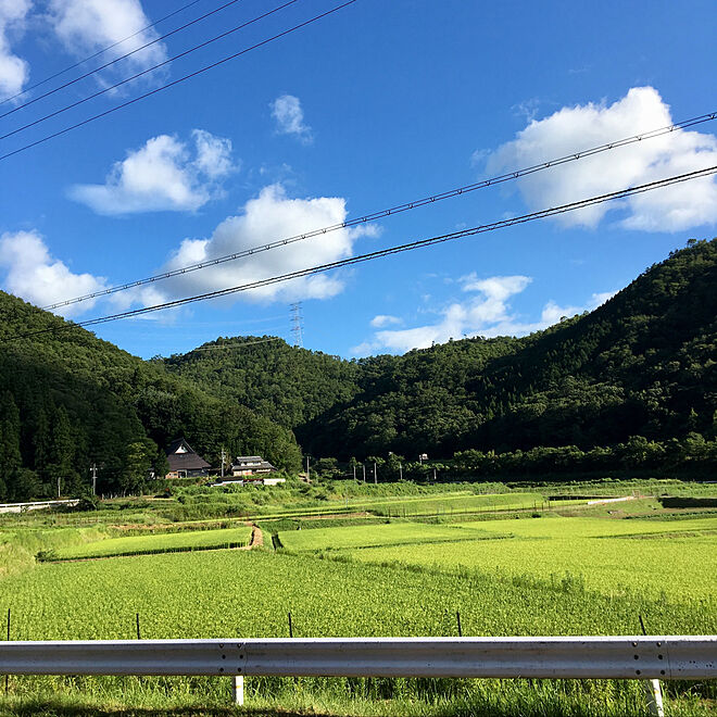 y---iさんの部屋