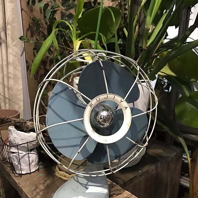 部屋全体/昭和家電/昭和/古いもの/扇風機...などのインテリア実例