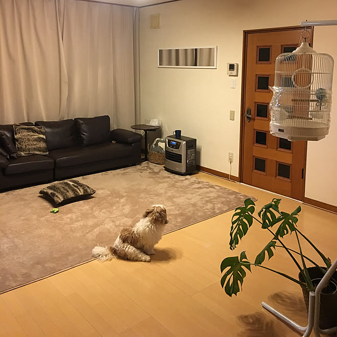 my_homeさんの部屋