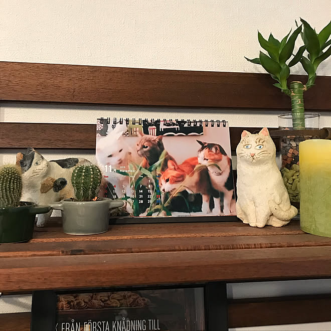 ねこと暮らす/前川幸一さんの猫/猫の置物/NO GREEN NO LIFE/IKEAの棚...などのインテリア実例 - 2019-11-25 08:14:31