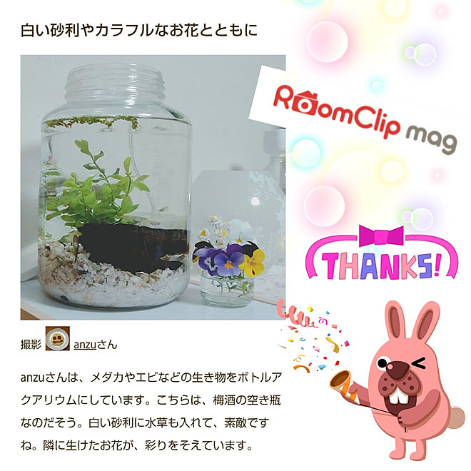 部屋全体/RoomClip mag/RoomClip mag 掲載/メダカ/ボトルアクアリウム...などのインテリア実例 - 2021-05-07 21:15:38