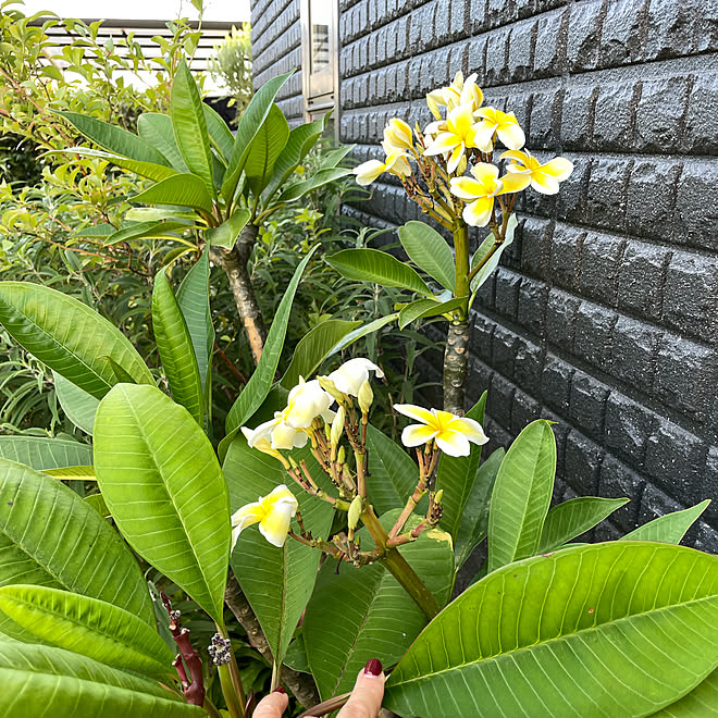 torakoさんの部屋