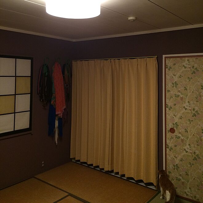himenekoさんの部屋