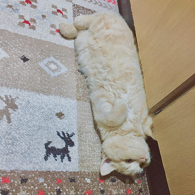 naokoさんの部屋