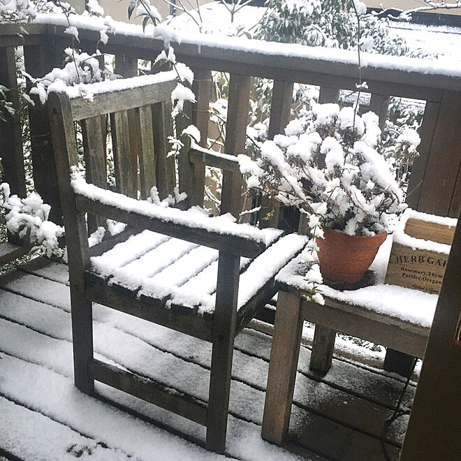 玄関/入り口/雪景色/バルコニー/自然を感じる暮らし/雪が降っています...などのインテリア実例 - 2022-01-06 16:32:56