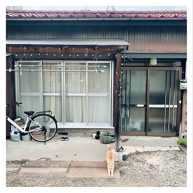 Maicoさんの部屋