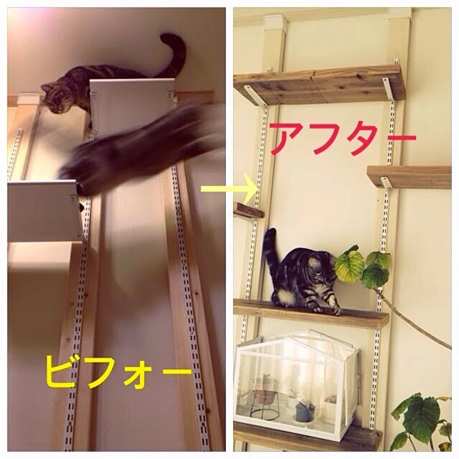 mikomaruさんの部屋