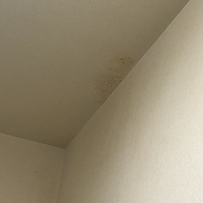 壁/天井のインテリア実例 - 2020-07-30 05:13:32