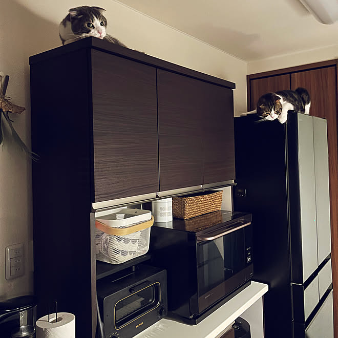 冷蔵庫/食器棚/IKEA/モノトーン/ニトリ...などのインテリア実例 - 2023-07-03 21:52:19 ｜ RoomClip（ルームクリップ）