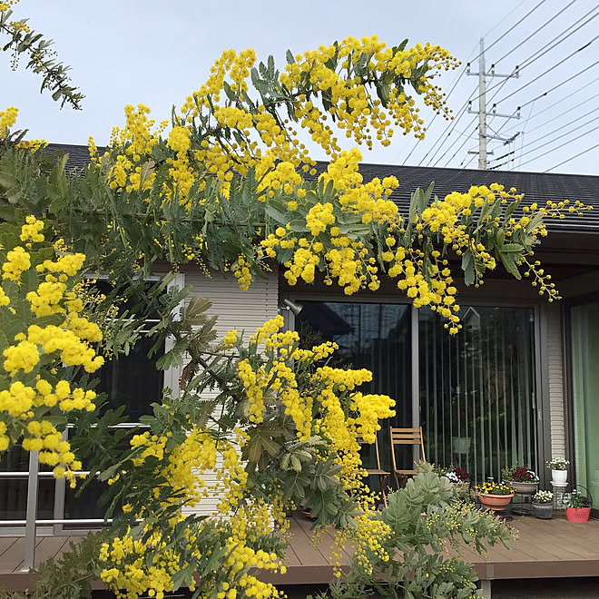 houenさんの部屋