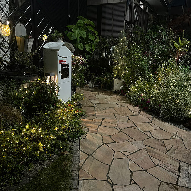 玄関/入り口/芝生の庭/ソーラーライト/楽しいお庭が好き/ライトアップの庭のインテリア実例 - 2023-11-23 19:57:12