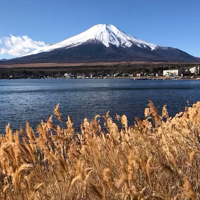 Rororiさんの部屋