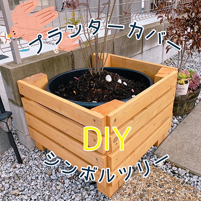 木工DIY/シマトネリコ/大型プランター/プランターカバーDIY/シマトネリコの鉢植え...などのインテリア実例 - 2022-02-11 13:13:55