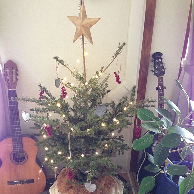 リビング/クリスマスツリー/IKEA/観葉植物のインテリア実例 - 2015-12-06 13:55:57
