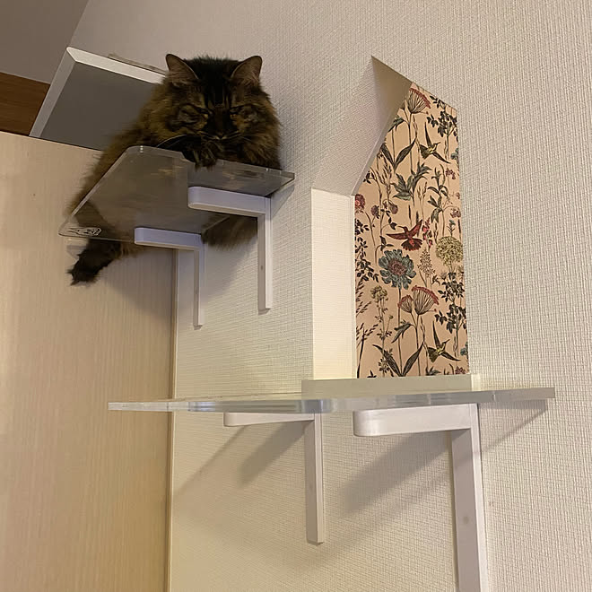 mikomaruさんの部屋