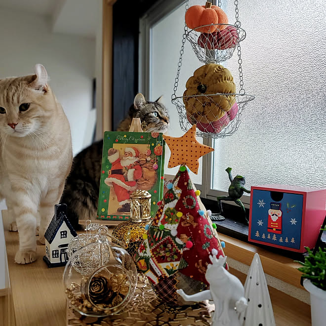 棚/猫/パッチワーク/クリスマス/seria...などのインテリア実例 - 2020-11-29 13:27:45