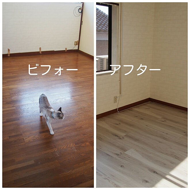 sakuracoco426さんの部屋