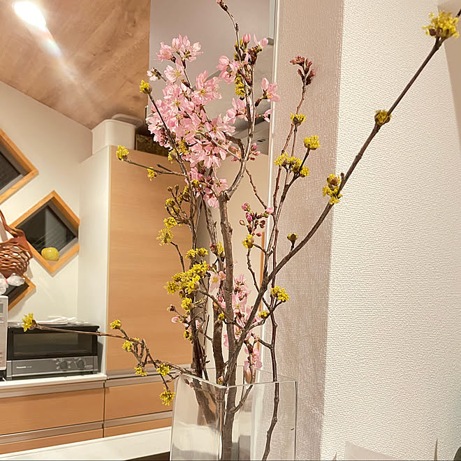 マンサク さくらの木の枝 桜 キッチンのインテリア実例 22 03 17 19 47 26 Roomclip ルームクリップ