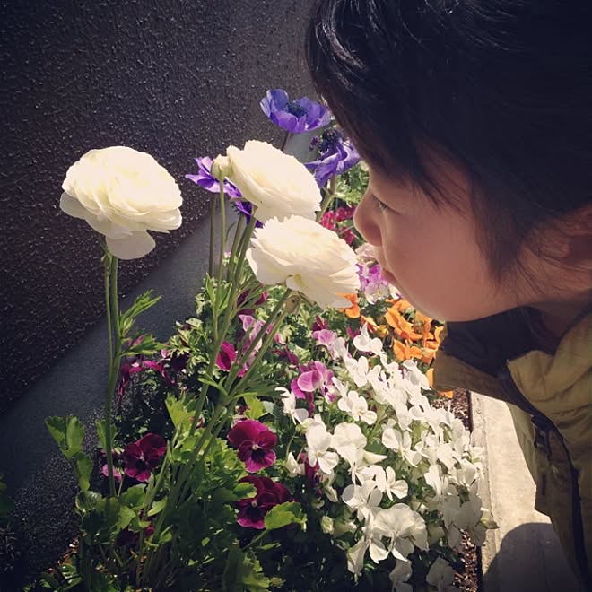 玄関/入り口/お花のある生活❁のインテリア実例 - 2014-04-17 09:04:33