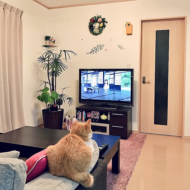 tomoさんの部屋