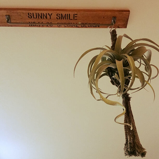 SUNNY-SMILE.rinさんの部屋