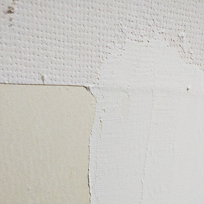 壁/天井/壁面DIY/漆喰/ひとりで塗れるもん/猫ちゃんのお部屋...などのインテリア実例 - 2021-02-20 19:17:34