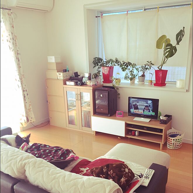 Ayumiさんの部屋
