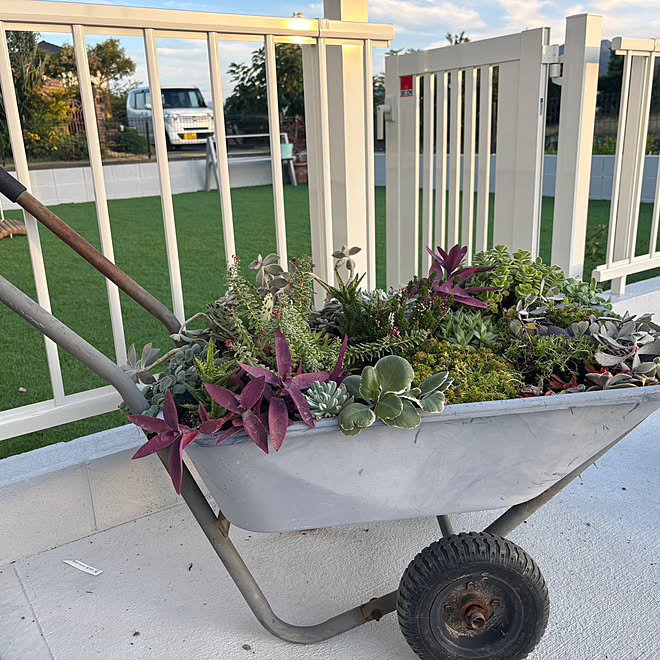 玄関/入り口/外構/一輪車寄せ植え/お庭のある暮らし/人工芝...などのインテリア実例 - 2023-11-09 13:15:47