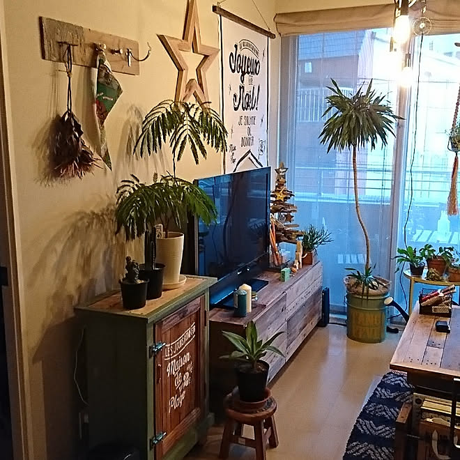 部屋全体/DIY/パレット/観葉植物のインテリア実例 - 2017-11-12 16:43:57