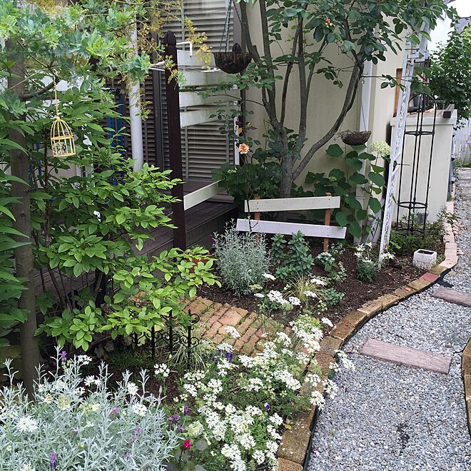 ベッド周り/植物/ガーデニング/ガーデン/手作りの庭...などのインテリア実例 - 2016-06-05 18:54:27