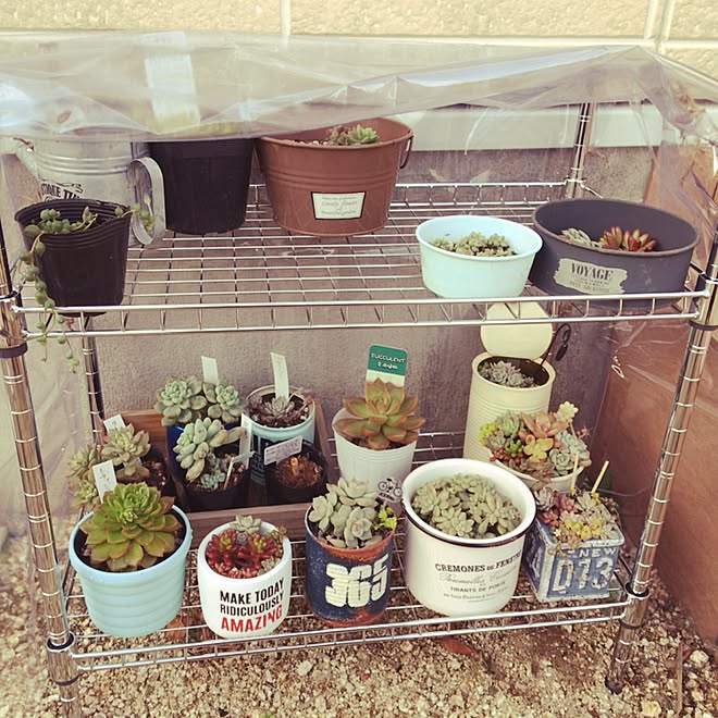 玄関 入り口 寒さ対策 雨よけカバー テーブルクロス スチールラック などのインテリア実例 16 12 24 15 54 52 Roomclip ルームクリップ 玄関 入り口 寒さ対策 雨よけカバー テーブルクロス スチールラック などのインテリア実例 16 12 24 15 54 52 Roomclip ルームクリップ