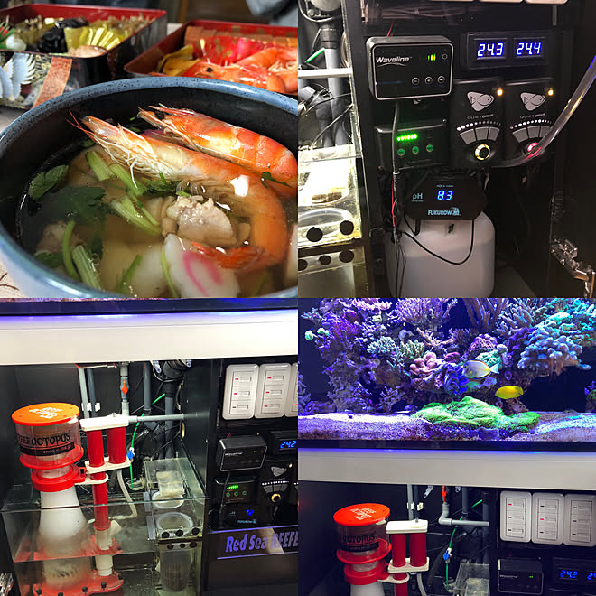 aquarium_seaさんの部屋