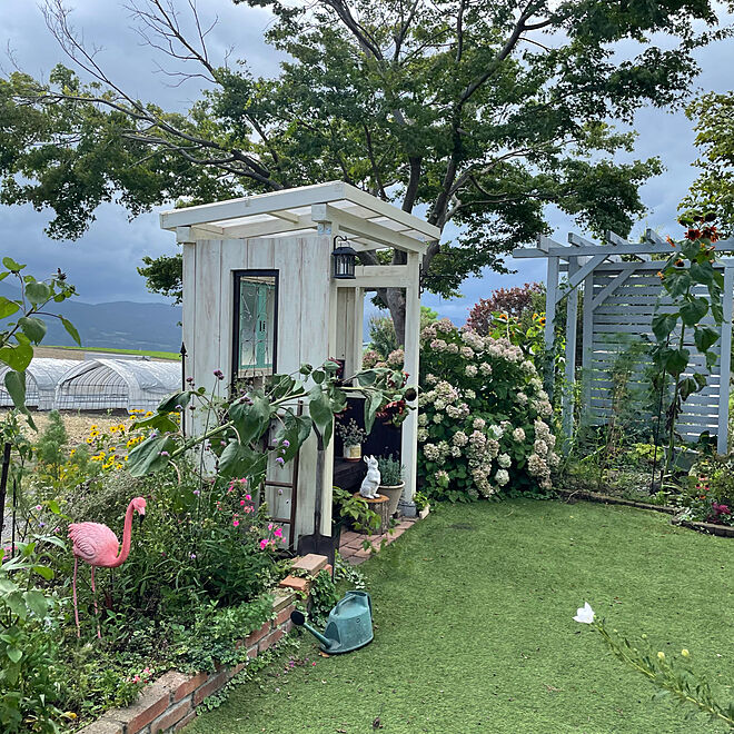 フラミンゴ/手作りの庭/赤いひまわり/台風の風/バス停風小屋...などのインテリア実例 - 2021-08-10 11:06:03