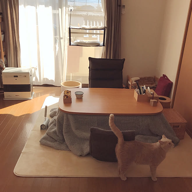 nicoさんの部屋