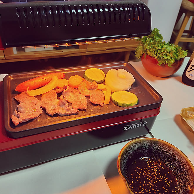 大特価!!】 ザイグルパーティーZAIGLE ZG-KJ2011 ecousarecycling.com