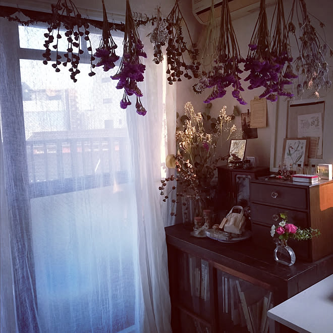 Centaureaさんの部屋